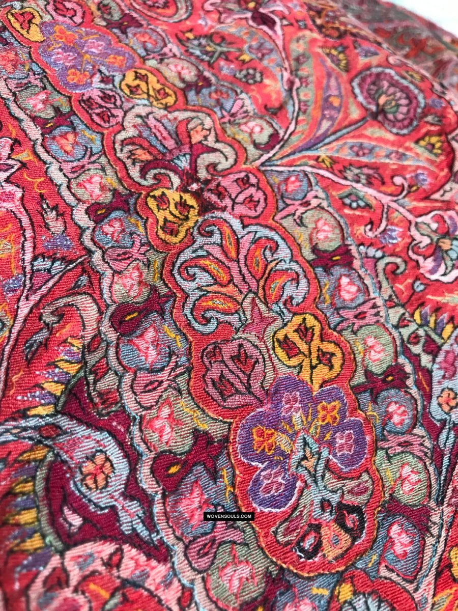 Pashmina & Cashmere
